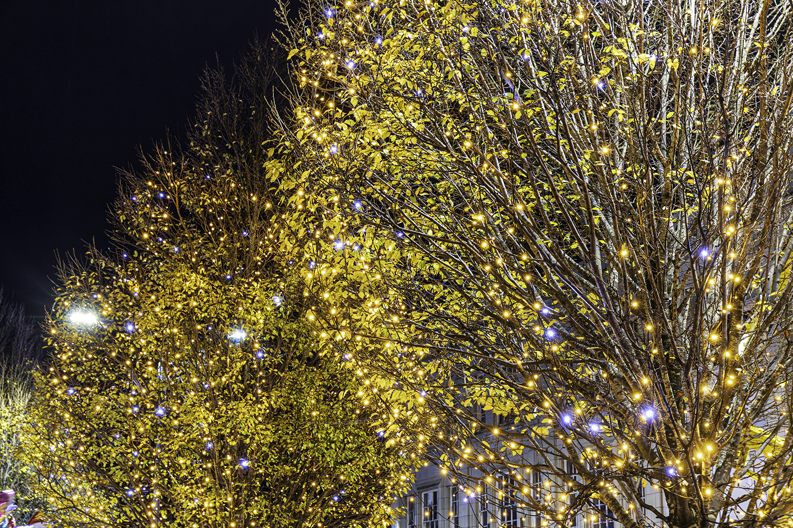 Relive the Magic: Official Video of Ashington Christmas Light Switch-On Now Available