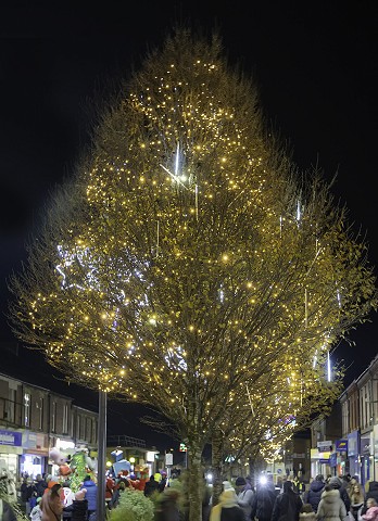 47chtistmaslights
