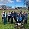 Ashington Cricket Club Tree Project