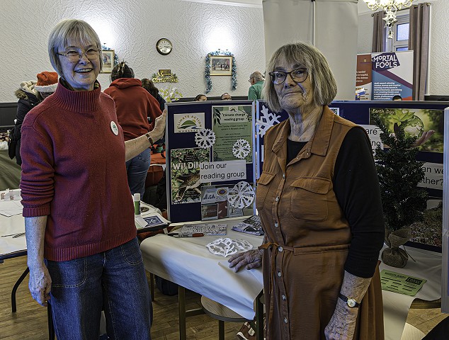 11ashingtonxmaslights