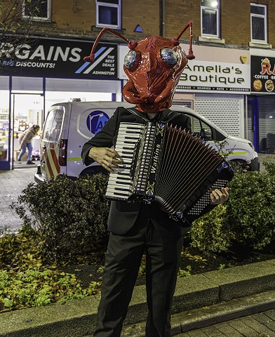 36ashingtonxmaslights