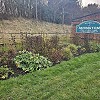 Embracing Sustainable Planting