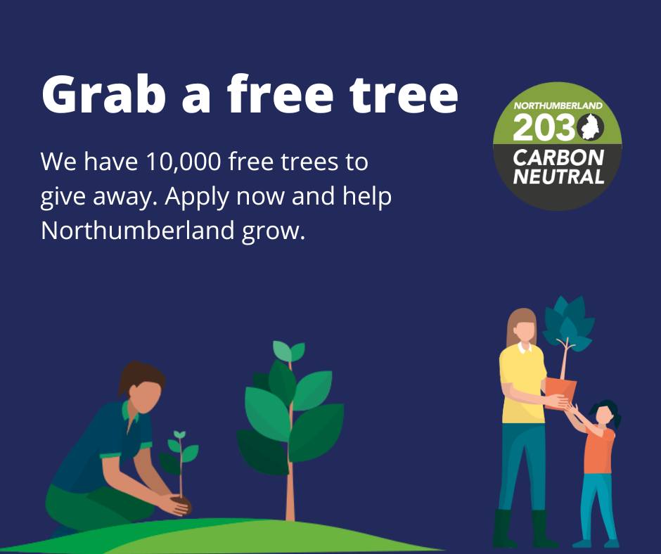 Northumberland County Council Free Trees