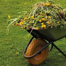 Garden Waste Service 2022
