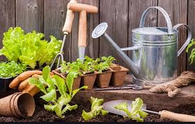 Age UK Northumberland New Gardening Social Group