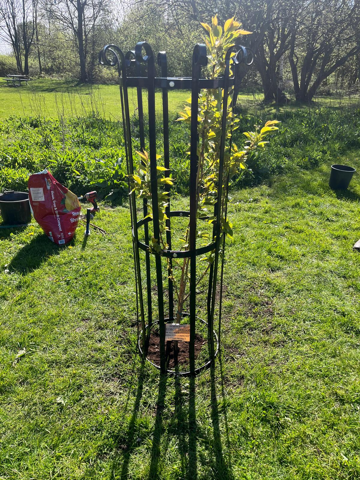 A Tree Grows in Ashington: Community Honours Litter-Picking Hero George Dobson on St George’s Day