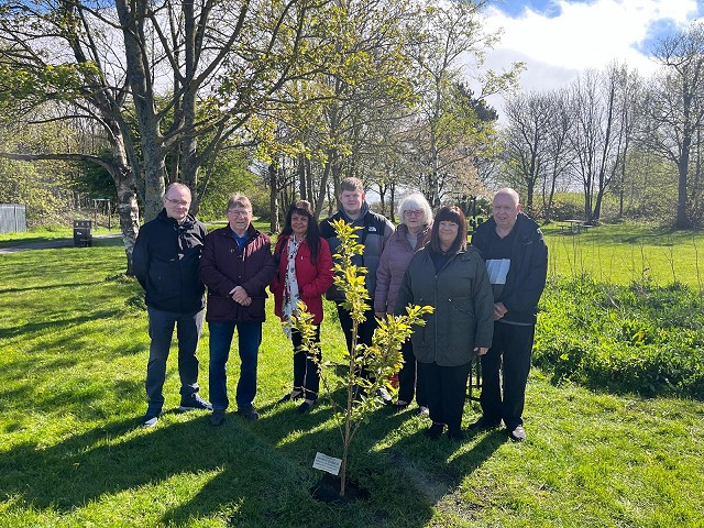George's Memorial Tree
