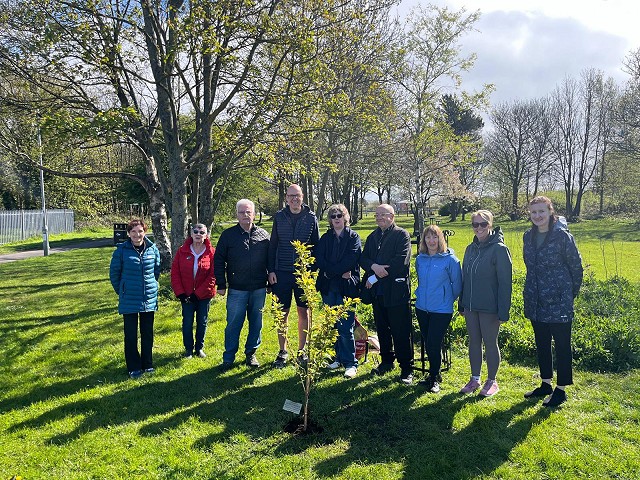 George's Memorial Tree
