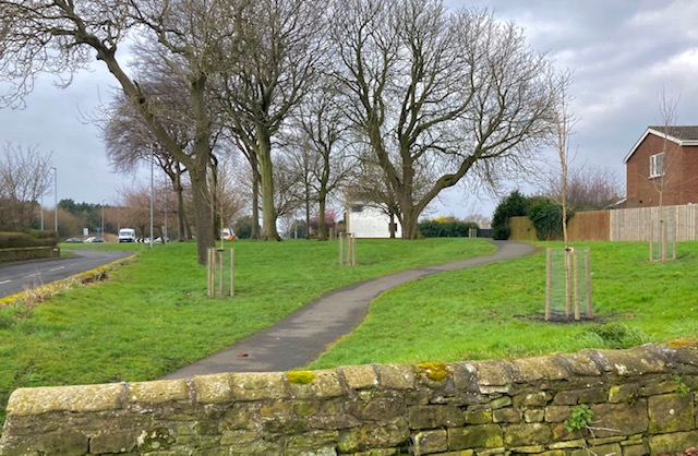 Tree Planting Scheme in North Seaton