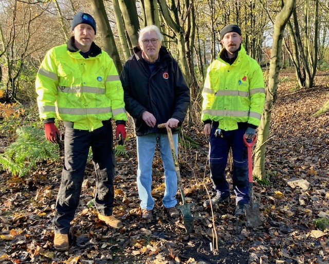 Tree Whips Planted in Paddock Wood