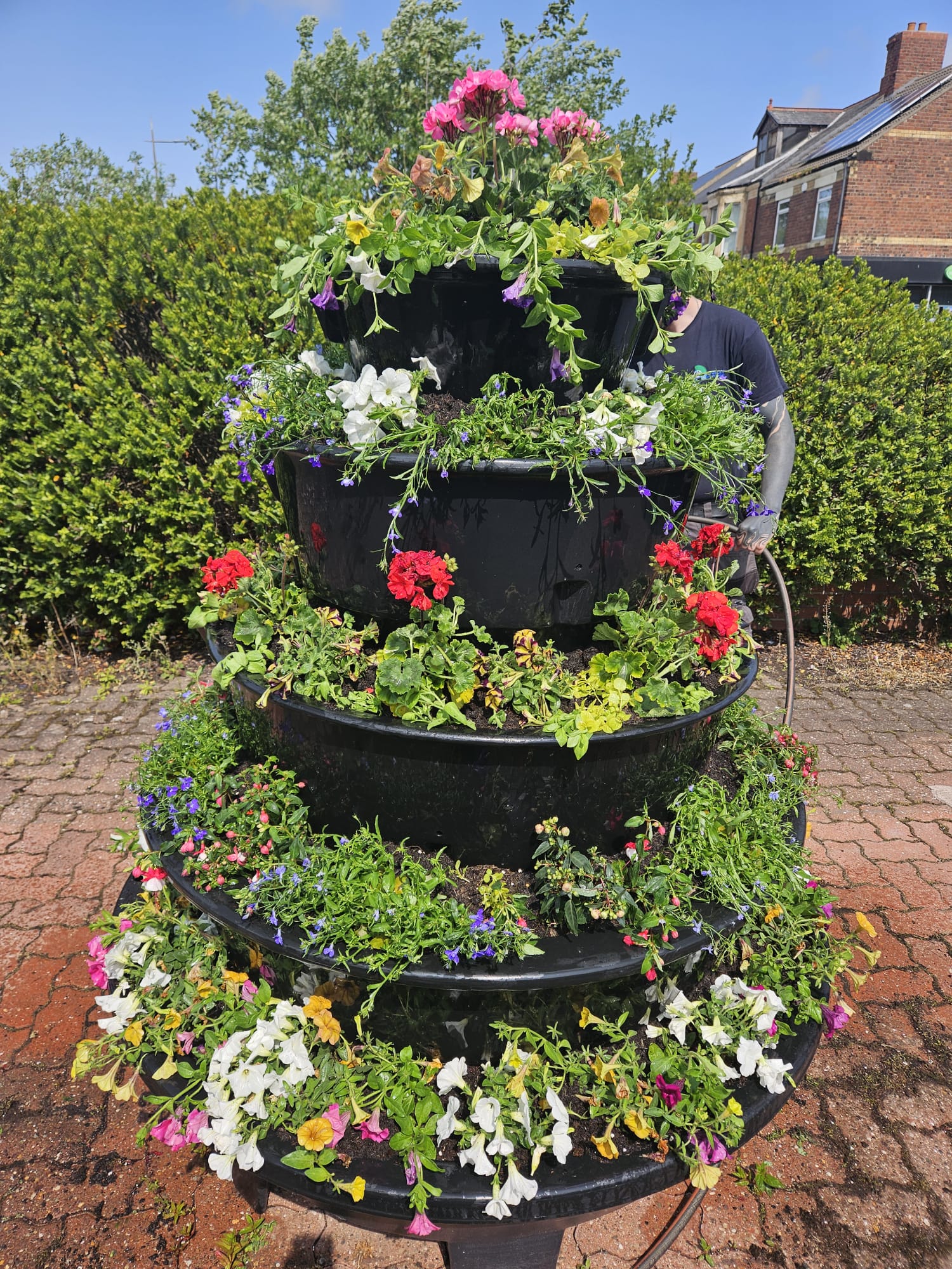 Ashington in Bloom: A Home-Grown Success!