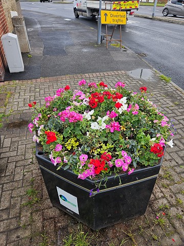 photo-2025-06-05-16-05-152