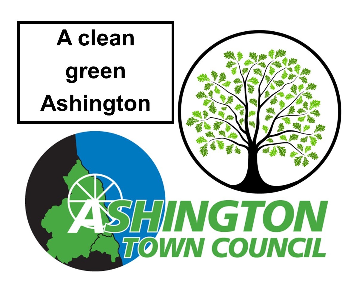 Tree Planting Plans for Ashington