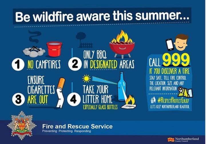 Be Wildfire Aware This Summer