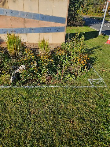 5b7e8cfa-3fe7-4a45-b75a-acc78623c246