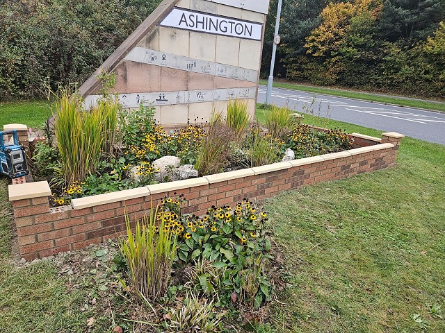 8ec9de27-6290-4aa3-a08a-bfd56e4dfc40